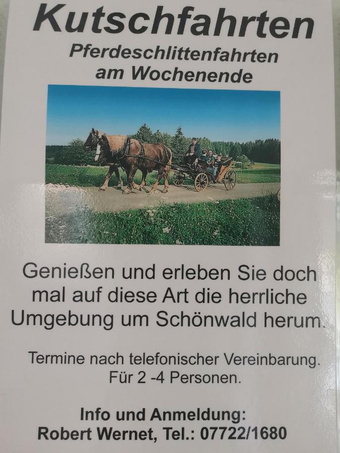 Ferienwohnung Schoene Wohnung 2D-Gebaeude Mit Mini-Garten Шёнвальд Экстерьер фото