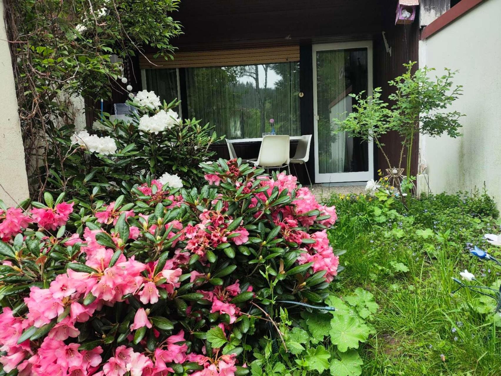 Ferienwohnung Schoene Wohnung 2D-Gebaeude Mit Mini-Garten Шёнвальд Экстерьер фото